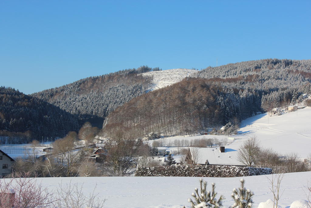 Ferienwohnung Emde Willingen  Bagian luar foto