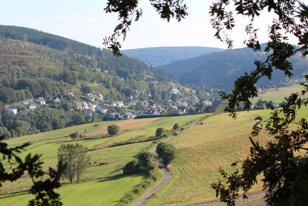 Ferienwohnung Emde Willingen  Bagian luar foto