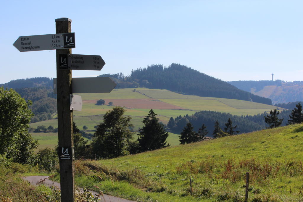 Ferienwohnung Emde Willingen  Bagian luar foto