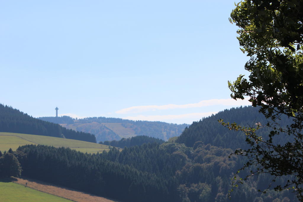 Ferienwohnung Emde Willingen  Bagian luar foto