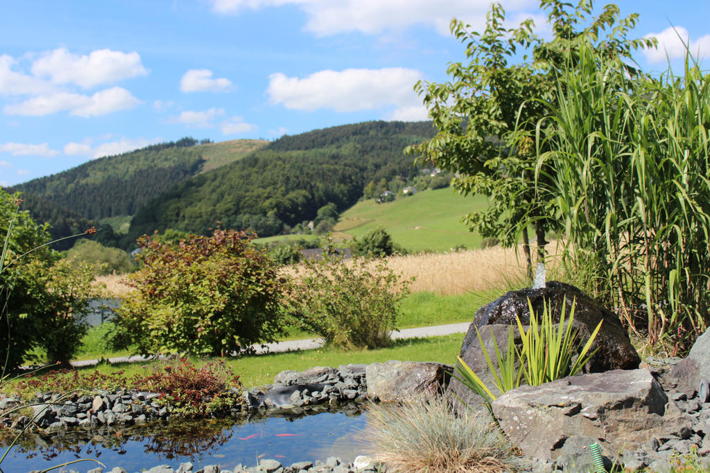 Ferienwohnung Emde Willingen  Bagian luar foto
