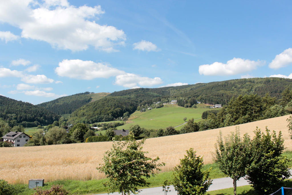 Ferienwohnung Emde Willingen  Bagian luar foto