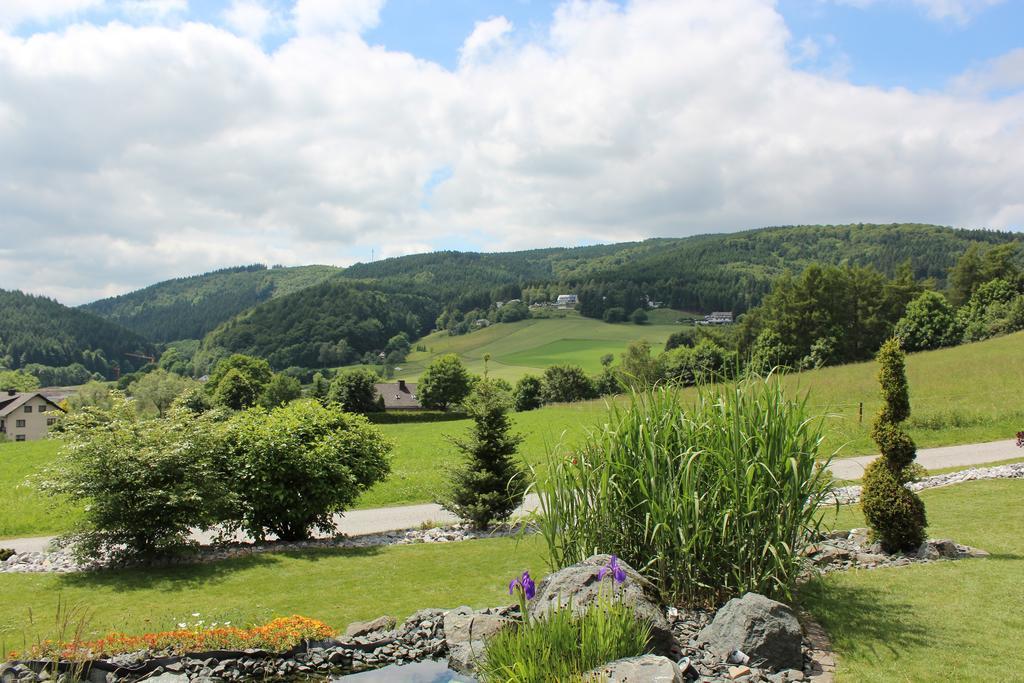 Ferienwohnung Emde Willingen  Bagian luar foto