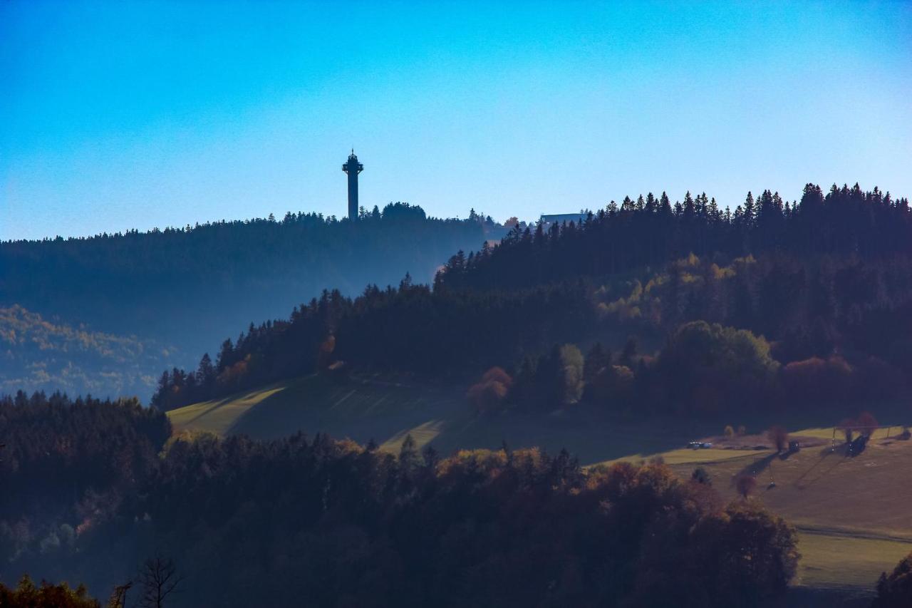 Ferienwohnung Emde Willingen  Bagian luar foto